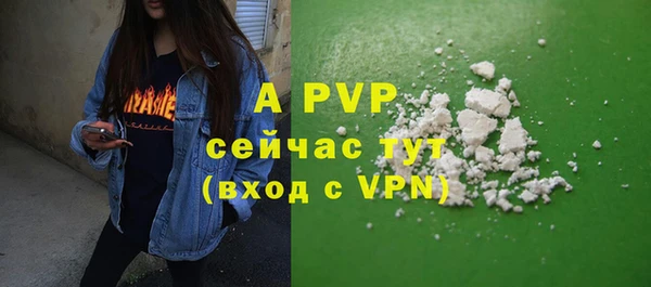 ГАЛЛЮЦИНОГЕННЫЕ ГРИБЫ Абаза